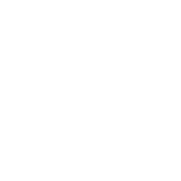 Marketplace management experience icon