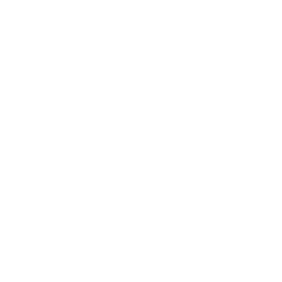 Marketplace management experience icon